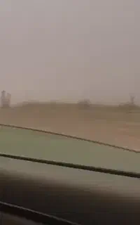 بلیط سالار عقیلی