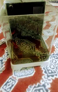 اکواریوم دلسا پلنت