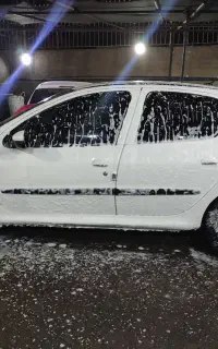 ۲۰۶ سفید ۸۱