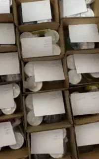 معجون