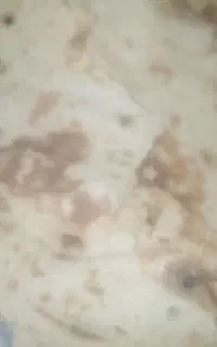 نان خوشک سالم