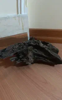 آبنوس