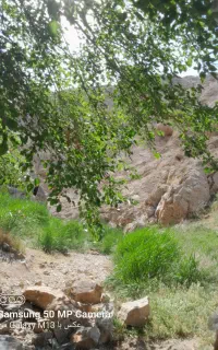 تور گردشگری