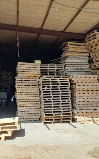 استخدام کارگر فقط مجرد