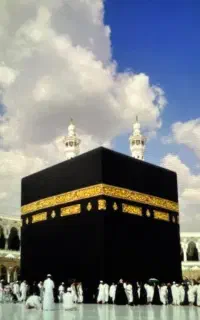 فیش حج واجب سال۸۲