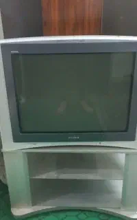 تلوزیون