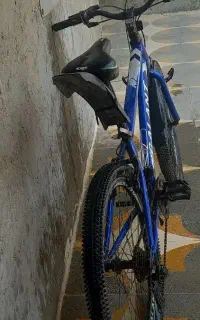 دنده ای