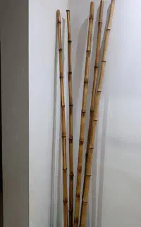 نی بامبو‌