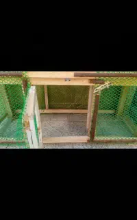 گل و گیاه طبیعی خوب مفت 1100