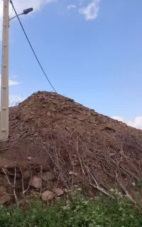 فروش کود گوسفندی
