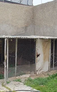 فروش قفس آهنی
