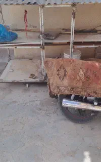 قفس مرغ تمیز ومرتب