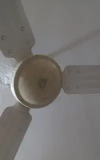 پنکه المانی