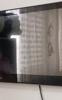 تلویزیون