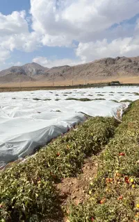 کاور ضد سرما با کیفیت عالی و دوام بالا