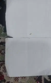 شناسنامه به نام بلال غلامی گم شده است