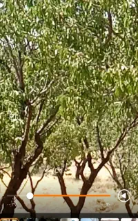 کارهای کشاورزی پذیرفته می‌شود