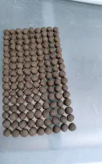 خوراک ماهی. وبچه ماهی
