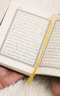 معلم قرآن و قاری
