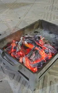 فروش زغال کبابی