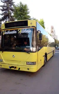 اتوبوس اویکو شهری