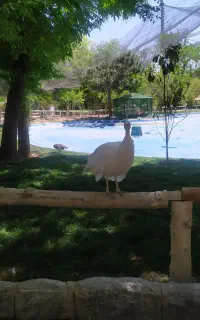 نظافت راه پله