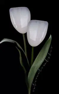 نیازمند ادمین اینستاگرام مسلط به ادیت