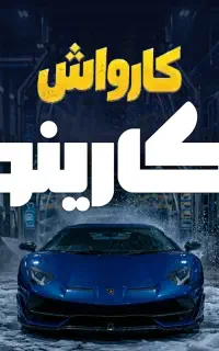 کار در کارواش