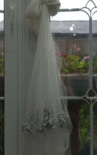 فروش سالی(ماشک)