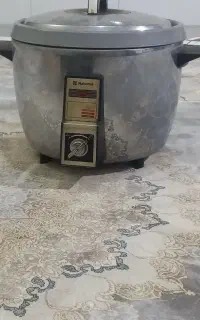 پلوپز برقی