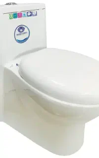 توالت فرهنگی