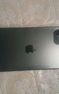 11پرو مکس