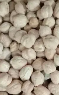 نخود درجه یک تازه