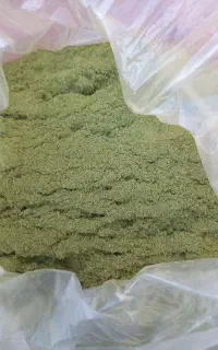 آویشن تازه