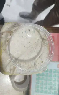 آنغوزه و برگه
