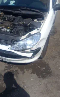 همکارصافکار/ نقاش