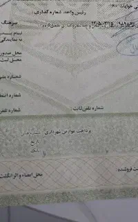 مفقودی برگ سبز اتومبیل منطقه آزادتجاری اروند