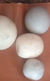 سنگ