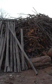 خرید چوب