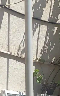 لوله در حد نو