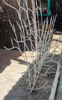 حفاظ شاخ گوزنی