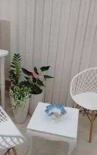 دو عدد صندلی بامبو سفید