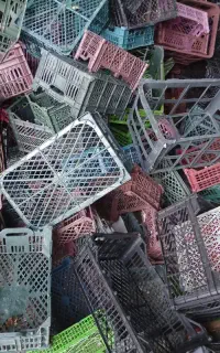 خرید سبدمیوه و کارتن موزی به بالاترین قیمت و نقد