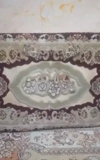پشتی دونه ای ۵۰۰