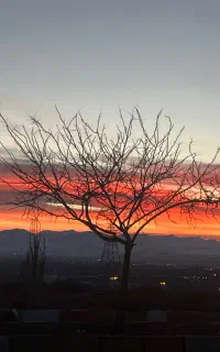 عکاسی فیلمبرداری خانم دیجی ارکست دف نواز حرفه ای