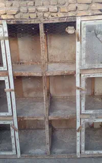 قفس پرنده