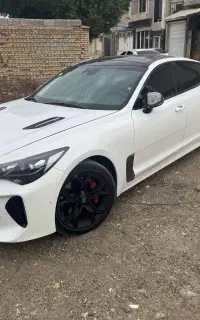 کیا استینگر