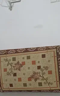 یک جفت پشتی سالم