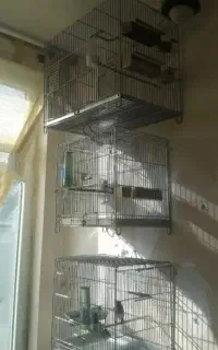 ماکت قفس غلامی