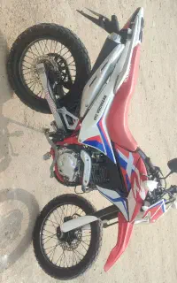 تریل xrبرمودا